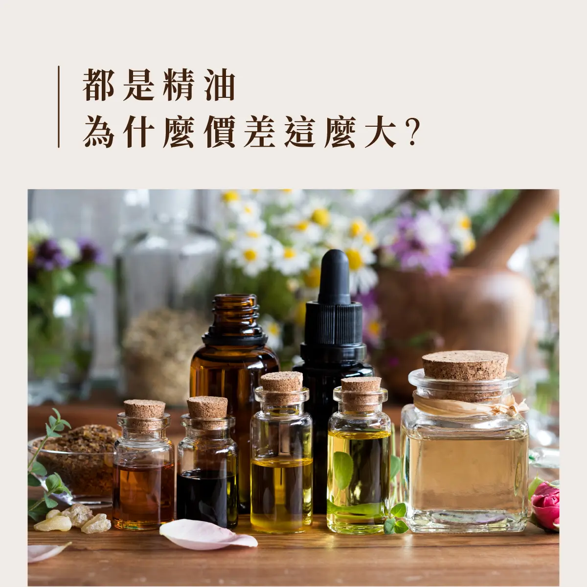 當芳香療法走進生活中－圖3