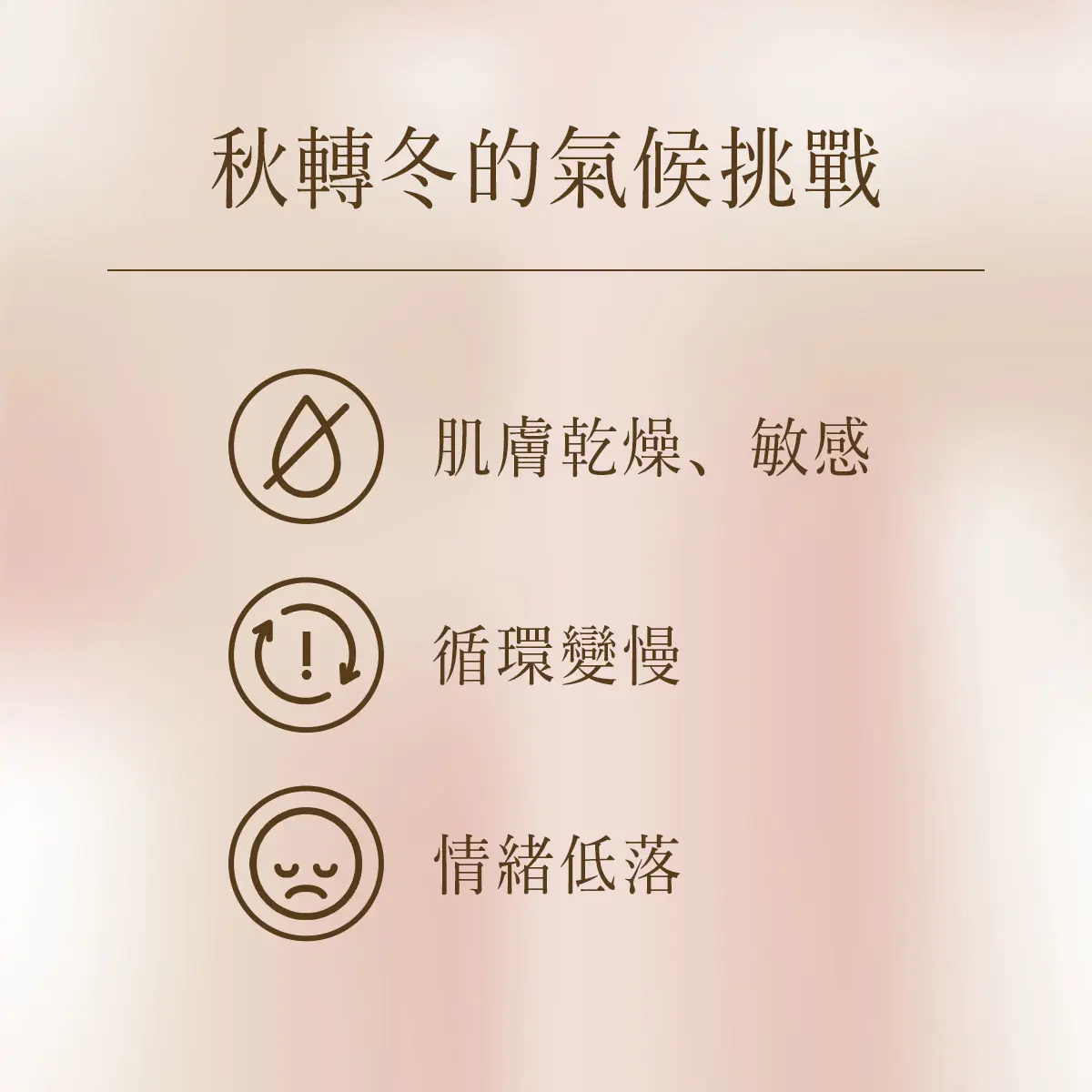 單身也能創造精緻感?-圖2